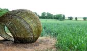 Tour Wandern Gesves - SENTIERS D'ART - Grande randonnée - Assesse, Ciney, Gesves, Hamois, Havelange, Ohey et Somme-Leuze - Photo 1