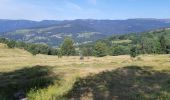 Trail Walking Hohrod - Circuit historique 1914-1918 Hohrodberg - Linge - Photo 4