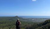 Tour Wandern Torroella de Montgrí - Castel de mont gris variante - Photo 16