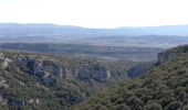 Trail Walking Lioux - Boucle autour de Lioux - Photo 5