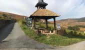 Trail Walking Fleurie - Fleurie (Rhône) 17 km - D. 498 m - Photo 5