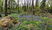 Trail Walking Chamarande - Boucle autour de Chamarante - Reco Didier  - Photo 15