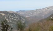 Excursión Senderismo Courmes - Courmes village Negre - Photo 10