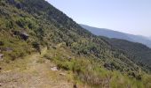 Trail Walking Rimplas - Rimplas - La Couletta - Photo 5