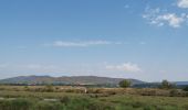 Tocht Stappen La Londe-les-Maures - les vieux salins - Photo 4