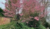 Tour Wandern Chaumont-Gistoux - #240216 - Bonlez, Aftia, Bruyères, Champ des Goffes**** - Photo 19