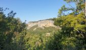 Excursión Senderismo Buoux - Balade de l'auberge des Seguins autour de l'aiguille et du Fort de Buoux - Photo 3