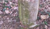 Randonnée Marche Beure - Beure de la pisseur au mercureau  - Photo 9