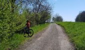 Excursión Bici de montaña Mutzig - parcours test VTTAE Mutzig  - Photo 19