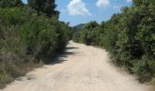 Trail On foot Porto Azzurro - GTE Stage 2 - Photo 1