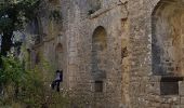 Tour Wandern Valflaunès - 34- Valflaunes - crêtes de l Hortus et Château de Vivioures - Photo 3