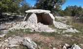 Excursión Senderismo Labeaume - dolmen labeaume - Photo 1