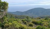 Randonnée Marche Cavalaire-sur-Mer - Cavalaire - oppidum de montjean crête des pradels - Photo 5