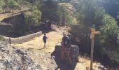 Trail Walking Val-d'Aigoual - Col d’asclier rocher de l’aigle  - Photo 7
