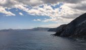 Randonnée Marche Cerbère - cerbère. cap cerbère. coll dels belitras . puig dels frères. cerbère - Photo 13