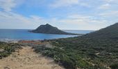 Tour Wandern La Croix-Valmer - Boucle en partant de la plage de Gigaro - Photo 3