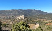 Randonnée Marche Paziols - Paziols château d’aguilra - Photo 2
