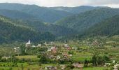 Tocht Te voet Unknown - Lunca Bradului (DN15)-Șaua Negoiu - Photo 1