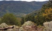 Trail Walking Sewen - Ballon d'Alsace - Lac d'Alfed et sa cascade - Col du Bonhomme - Ballon d'Alsace - Photo 9