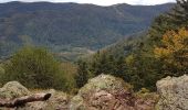 Tour Wandern Sewen - Ballon d'Alsace - Lac d'Alfed et sa cascade - Col du Bonhomme - Ballon d'Alsace - Photo 9