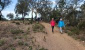 Tocht Stappen Les Arcs-sur-Argens - la forêt des Apiés - Photo 1