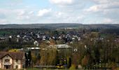 Tour Zu Fuß Aglasterhausen - Rundwanderweg Aglasterhausen 1: Falchengrund-Weg - Photo 7