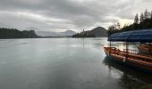 Tour Wandern Veldes - Bled - Photo 1