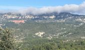 Trail Walking Allauch - La Paloire Rando Tamalous - Photo 8