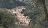 Tour Wandern Aniane - Pont du diable - Eglise Saint-Sylvestre - Lavene (Puéchabon) - Pioch de la Bastide - Photo 14