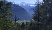 Excursión Senderismo Unterseen - Randonnée au dessus de Harder Kulm - Photo 1