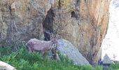 Trail Walking Entracque - Lacs Réservoirs Rovina Chiotas et Argentera - Photo 2