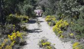 Tour Wandern Aínsa-Sobrarbe - el grado Guaso Sierra puis voiture jusqu'à Sarratillo - Photo 1