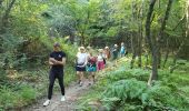 Randonnée Marche Bagnols-en-Forêt - la Verrerie, le vieux moulin - Photo 3