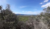 Tour Wandern Vallon-Pont-d'Arc - Les balcons de l ibie 10/10/19 - Photo 2