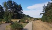 Trail Walking Maasmechelen - Mechelse Heide  - Photo 13