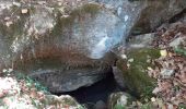 Randonnée Marche Lussas - Le canyon de la Louyre - Photo 7