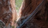 Tocht Stappen Ollioules -  Les Grottes  St Martin  - Photo 20