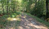 Tour Wandern La Ferrière - La Ferrière - Photo 13