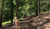 Tour Wandern Florenville - Muno et roche à l'appel - Photo 9