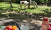 Tour Reiten Teyran - Teyran - domaine des Restinclières boucle  - Photo 3