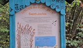 Tour Wandern Saint-Jorioz - Sentier des roselières  - Photo 7