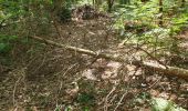 Percorso Marcia Choussy - Couddes 1 - Photo 1
