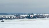 Tocht Te voet Castell - TraumRunde Castel - Photo 6