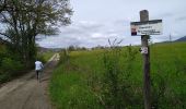Trail Walking Sentheim - Sentheim Grambaechle - Photo 4