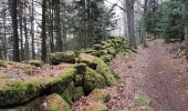 Tour Wandern Barr - Barr - sentier géologique - Landsberg - kiosque du Jadelot - Photo 2