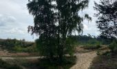 Randonnée Marche Maaseik - Gruitroderbos -  dunes - Photo 10