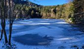 Tour Wandern Lepuix - Saut de la Truite - cascade du Rummel - Etang du Petit-Haut - Ballon d'alsace - Photo 9