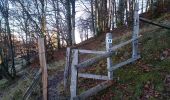 Trail Walking Sewen - Graber Novembre 23 - Photo 17