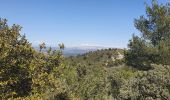 Excursión Senderismo Simiane-Collongue - Le pilon du Roy par Simiane - Photo 1