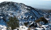 Tocht Te voet Belpasso - Monte Manfrè - Pista Altomontana - Photo 1